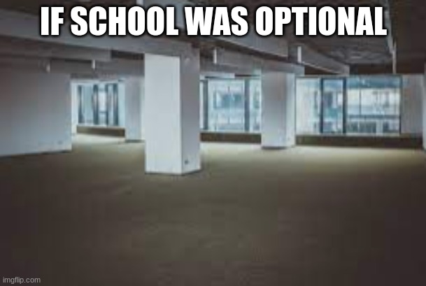 Empty Building | IF SCHOOL WAS OPTIONAL | image tagged in empty building,school,oof | made w/ Imgflip meme maker