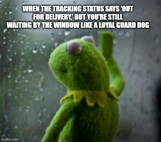 Waiting for Package | WHEN THE TRACKING STATUS SAYS ‘OUT FOR DELIVERY,’ BUT YOU’RE STILL WAITING BY THE WINDOW LIKE A LOYAL GUARD DOG | image tagged in sad kermit at window | made w/ Imgflip meme maker