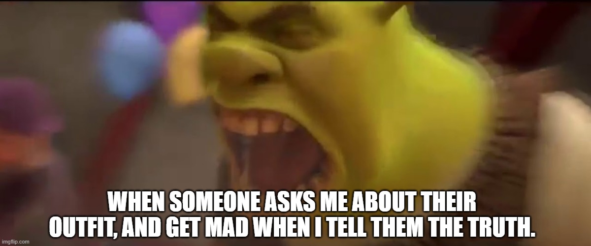 Shrek screaming | WHEN SOMEONE ASKS ME ABOUT THEIR OUTFIT, AND GET MAD WHEN I TELL THEM THE TRUTH. | image tagged in shrek screaming | made w/ Imgflip meme maker