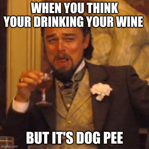 When you get pranked. | WHEN YOU THINK YOUR DRINKING YOUR WINE; BUT IT'S DOG PEE | image tagged in memes,laughing leo,wine | made w/ Imgflip meme maker
