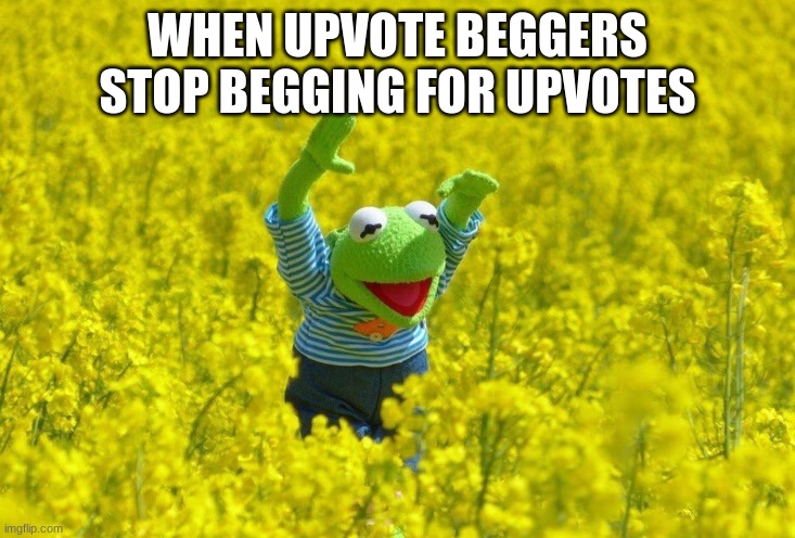 Happy Kermit | WHEN UPVOTE BEGGERS STOP BEGGING FOR UPVOTES | image tagged in happy kermit | made w/ Imgflip meme maker