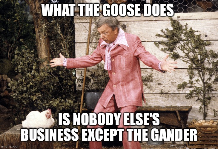 Goose and The Gander | WHAT THE GOOSE DOES; IS NOBODY ELSE'S BUSINESS EXCEPT THE GANDER | image tagged in funny memes | made w/ Imgflip meme maker
