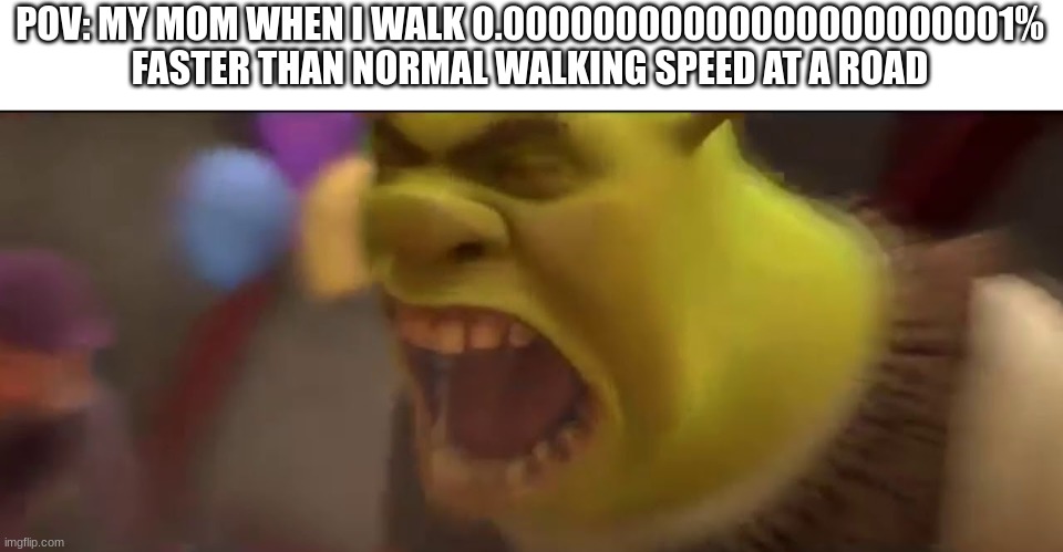 *Inhales with extreme force* "A CARS GONNA RUN YOU OVER!!!!!!!!!!!!!!!!!!" | POV: MY MOM WHEN I WALK 0.00000000000000000000001% FASTER THAN NORMAL WALKING SPEED AT A ROAD | image tagged in shrek screaming | made w/ Imgflip meme maker