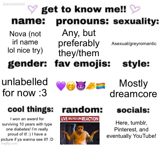 Reeeeeee | Nova (not irl name lol nice try); Any, but preferably they/them; Asexual/greyromantic; 💜🤭😈🧀🏳️‍🌈; Mostly dreamcore; unlabelled for now :3; Here, tumblr, Pinterest, and eventually YouTube! I won an award for surviving 10 years with type one diabetes! I’m really proud of it! :) I have a picture if ya wanna see it!! :D | image tagged in get to know me but better | made w/ Imgflip meme maker