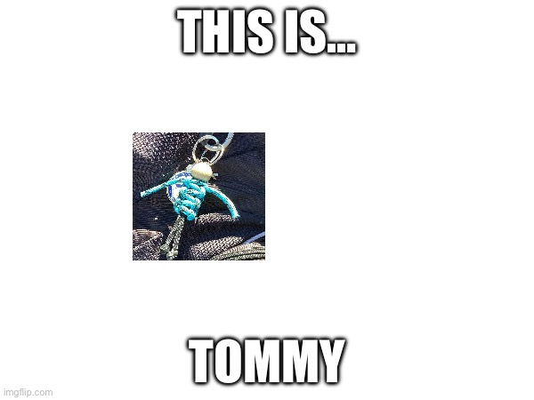 THIS IS…; TOMMY | image tagged in funny | made w/ Imgflip meme maker