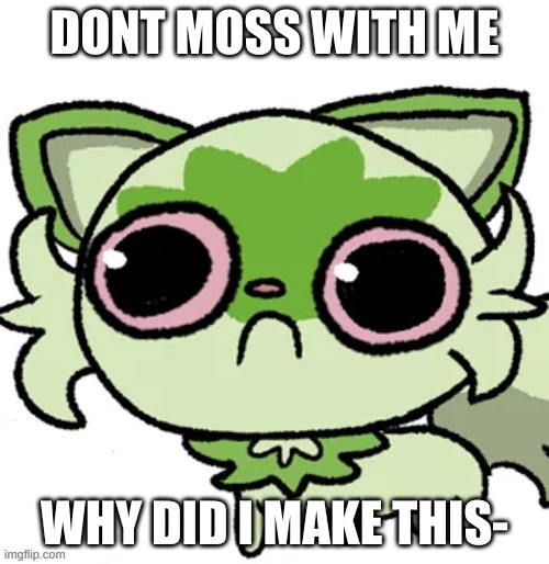 . | DONT MOSS WITH ME; WHY DID I MAKE THIS- | image tagged in weed cat | made w/ Imgflip meme maker