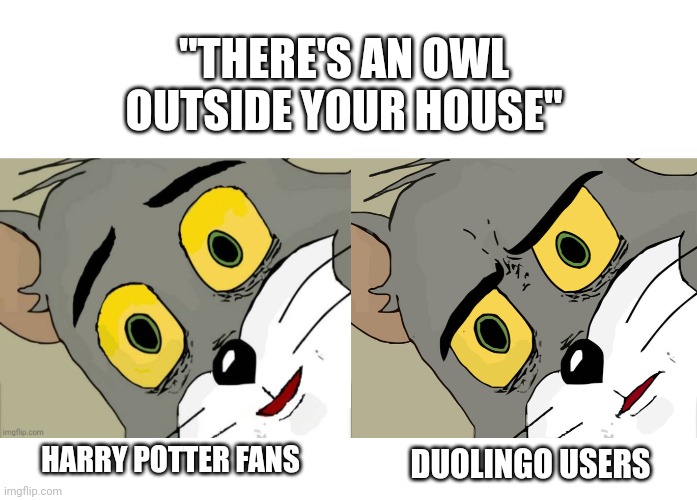 Harry Potter Memes - Imgflip