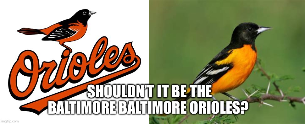 Just thinkin’ | SHOULDN’T IT BE THE BALTIMORE BALTIMORE ORIOLES? | image tagged in baltimore,mlb baseball | made w/ Imgflip meme maker
