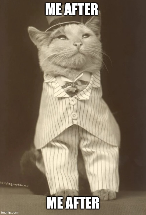 Me after fr | ME AFTER; ME AFTER | image tagged in cat in pinstripe | made w/ Imgflip meme maker