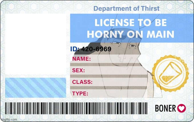 License To Be Horny On Main | image tagged in license to be horny on main | made w/ Imgflip meme maker