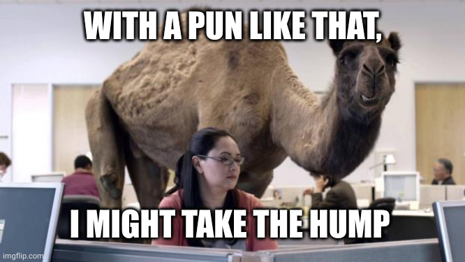 Hump Day Camel | WITH A PUN LIKE THAT, I MIGHT TAKE THE HUMP | image tagged in hump day camel | made w/ Imgflip meme maker
