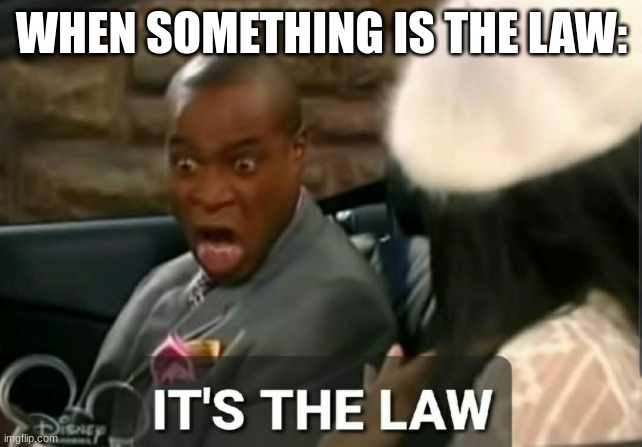 It's the law | WHEN SOMETHING IS THE LAW: | image tagged in it's the law,obvious,memes,unfunny | made w/ Imgflip meme maker