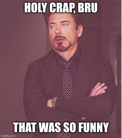 Face You Make Robert Downey Jr | HOLY CRAP, BRU; THAT WAS SO FUNNY | image tagged in memes,face you make robert downey jr | made w/ Imgflip meme maker