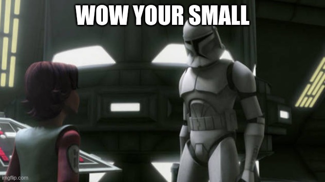 clone trooper | WOW YOUR SMALL | image tagged in clone trooper | made w/ Imgflip meme maker