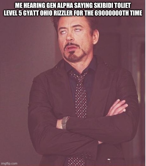 Face You Make Robert Downey Jr | ME HEARING GEN ALPHA SAYING SKIBIDI TOLIET LEVEL 5 GYATT OHIO RIZZLER FOR THE 69000000TH TIME | image tagged in memes,face you make robert downey jr | made w/ Imgflip meme maker