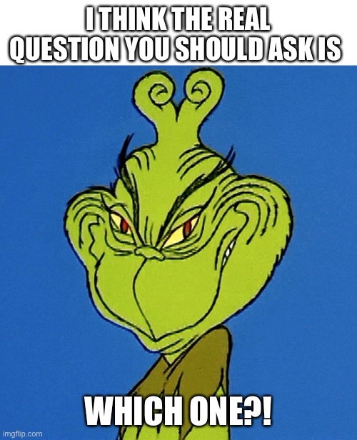 Grinch Smile | I THINK THE REAL QUESTION YOU SHOULD ASK IS WHICH ONE?! | image tagged in grinch smile | made w/ Imgflip meme maker