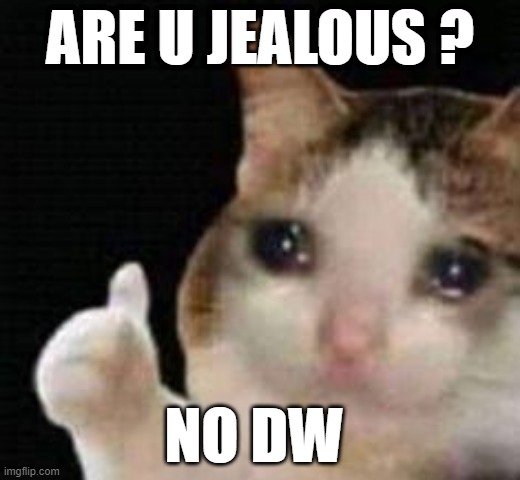 Approved crying cat | ARE U JEALOUS ? NO DW | image tagged in approved crying cat | made w/ Imgflip meme maker