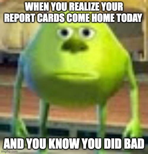 Sully Wazowski | WHEN YOU REALIZE YOUR REPORT CARDS COME HOME TODAY; AND YOU KNOW YOU DID BAD | image tagged in sully wazowski | made w/ Imgflip meme maker