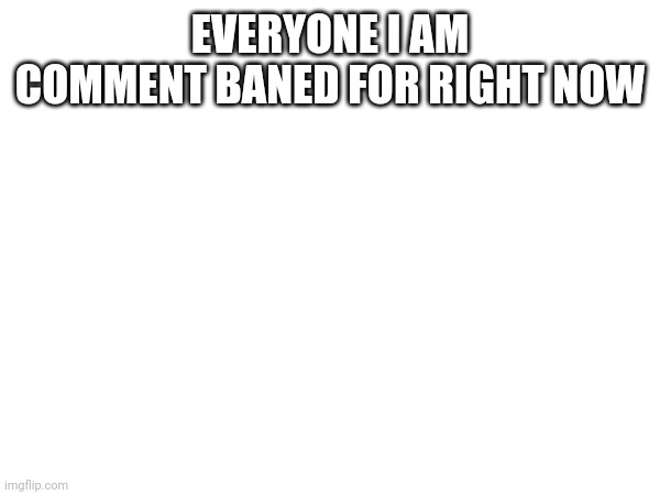 EVERYONE I AM COMMENT BANED FOR RIGHT NOW | made w/ Imgflip meme maker