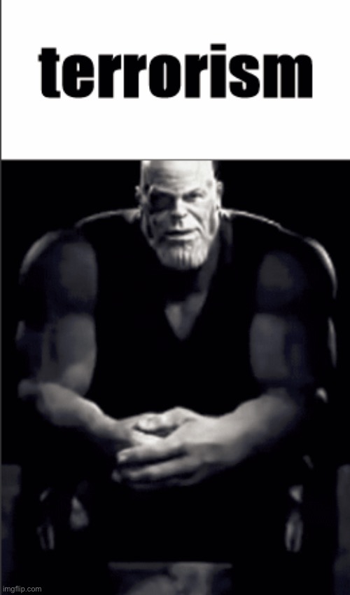 repost until mods get involved | image tagged in thanos explaining terrorism | made w/ Imgflip meme maker