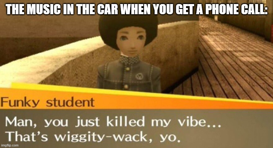 true ngl | THE MUSIC IN THE CAR WHEN YOU GET A PHONE CALL: | image tagged in funky student,music,car,funky,ooh yeah,funky my guys | made w/ Imgflip meme maker