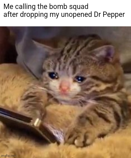 Crying cat on phone | Me calling the bomb squad after dropping my unopened Dr Pepper | image tagged in crying cat on phone | made w/ Imgflip meme maker