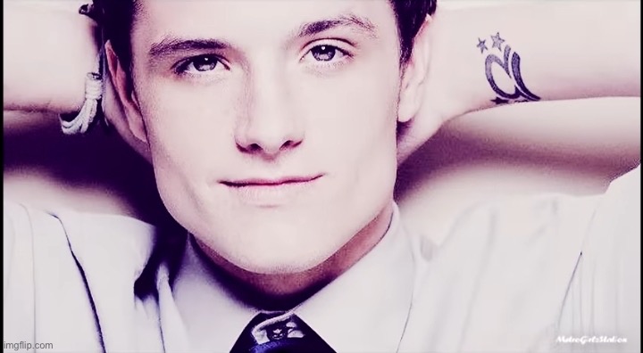 Josh Hutcherson | image tagged in josh hutcherson | made w/ Imgflip meme maker