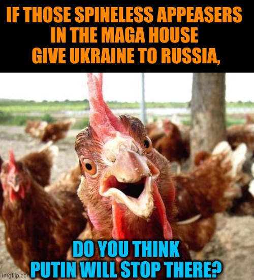 Chickensh*t MAGA | IF THOSE SPINELESS APPEASERS 
IN THE MAGA HOUSE 
GIVE UKRAINE TO RUSSIA, DO YOU THINK PUTIN WILL STOP THERE? | image tagged in chicken,maga,cowards,ukraine,putin,murderer | made w/ Imgflip meme maker
