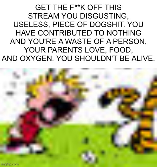 Calvin And Hobbes "You can't DO THAT!" | GET THE F**K OFF THIS STREAM YOU DISGUSTING, USELESS, PIECE OF DOGSHIT. YOU HAVE CONTRIBUTED TO NOTHING AND YOU'RE A WASTE OF A PERSON, YOUR | image tagged in calvin and hobbes you can't do that | made w/ Imgflip meme maker