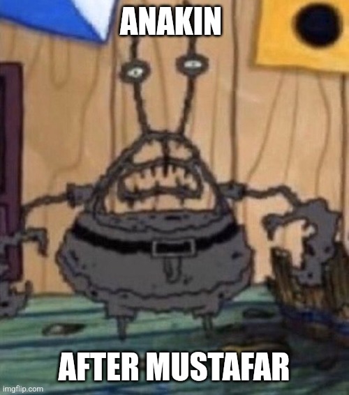 Anakin after mustafar | ANAKIN; AFTER MUSTAFAR | image tagged in incinerated mr krabs,star wars | made w/ Imgflip meme maker