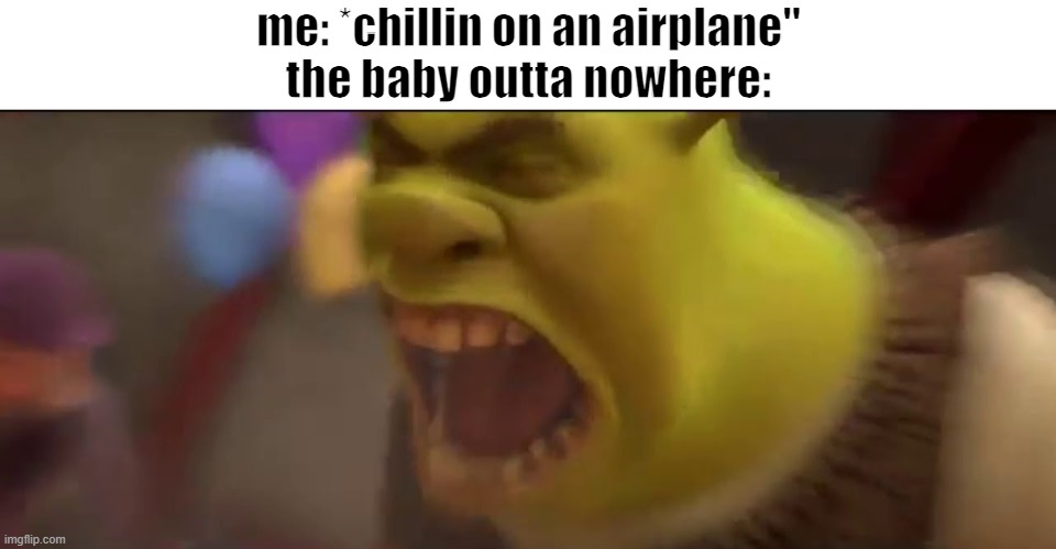 *inhales* WAAAAAAAAAAAAAAAAAAAAAAAAAAAAAAAAAAAAAAAAAAAA!!!! | me: *chillin on an airplane"
the baby outta nowhere: | image tagged in shrek screaming | made w/ Imgflip meme maker