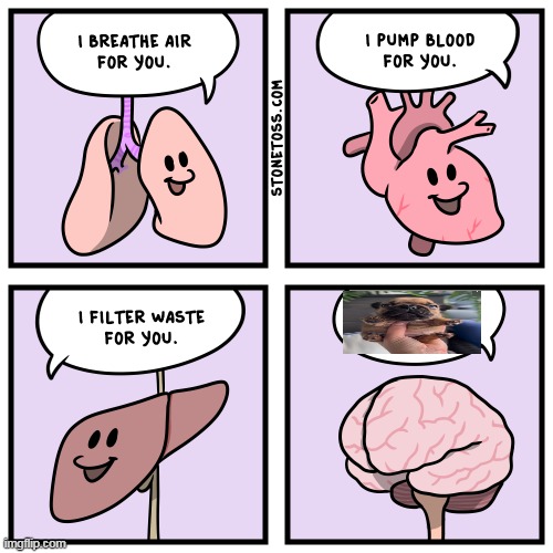 I BREATHE AIR FOR YOU. | image tagged in i breathe air for you | made w/ Imgflip meme maker