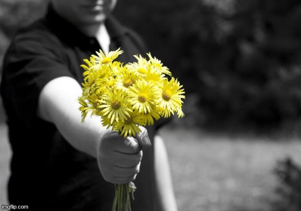 Giving flowers | image tagged in giving flowers | made w/ Imgflip meme maker