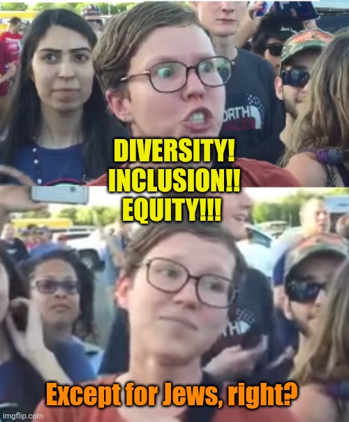 From the Liver, to the Key... Pakistani's must eat Brie!!! | DIVERSITY!
INCLUSION!!
EQUITY!!! Except for Jews, right? | image tagged in two faced liberal snowflake | made w/ Imgflip meme maker