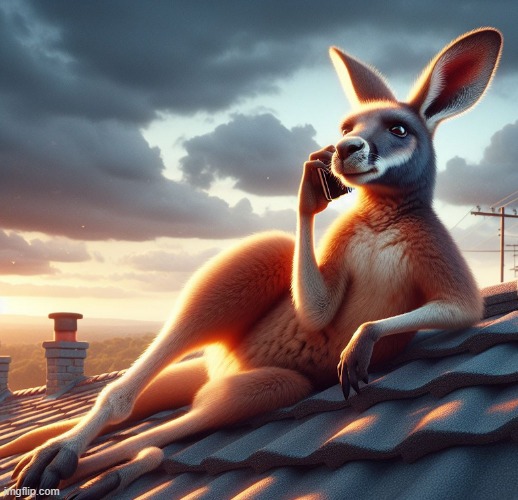 Kangaroo Roofcall | image tagged in kangaroo,roof,phone call,australia | made w/ Imgflip meme maker