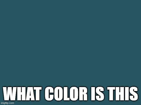 What color is this | WHAT COLOR IS THIS | image tagged in color,meme | made w/ Imgflip meme maker