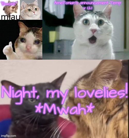 AmeTonian's announcement Temp v 1.2.1 | Night, my lovelies!
*Mwah* | image tagged in ametonian's announcement temp v 1 2 1 | made w/ Imgflip meme maker