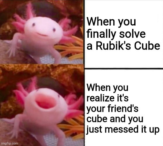 Yeet | When you finally solve a Rubik's Cube; When you realize it's your friend's cube and you just messed it up | image tagged in axolotl drake | made w/ Imgflip meme maker