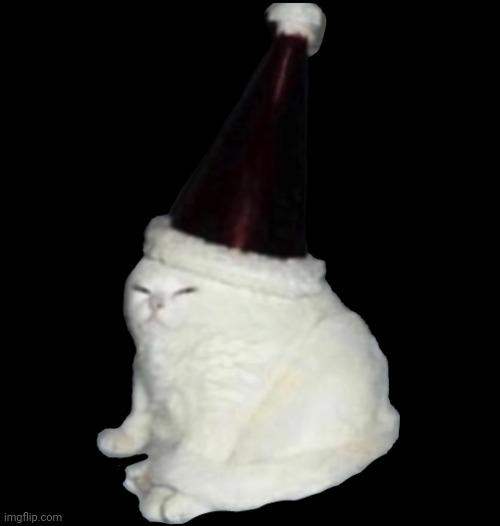 Party Hat Cat | image tagged in party hat cat,memes,funny | made w/ Imgflip meme maker