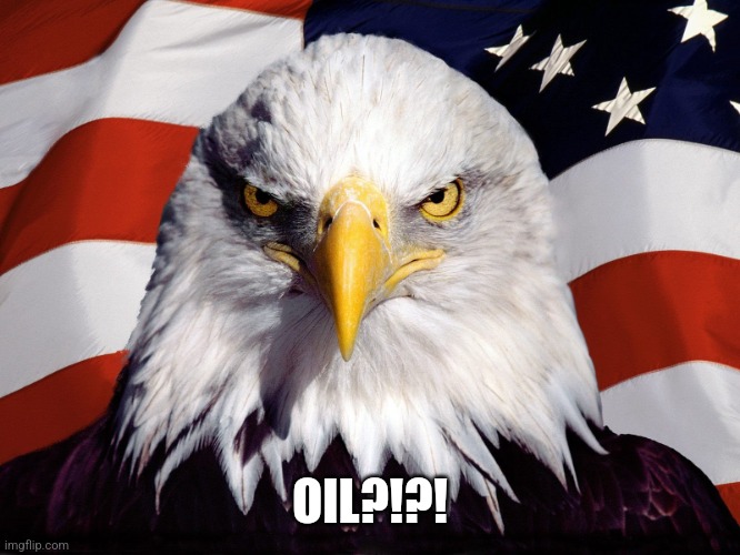 Freedom Eagle | OIL?!?! | image tagged in freedom eagle | made w/ Imgflip meme maker