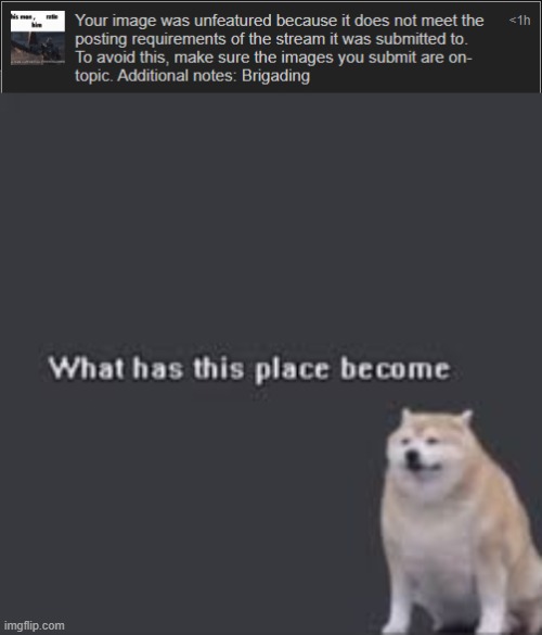 i hate sitemods they have no souls | image tagged in what has this place become | made w/ Imgflip meme maker