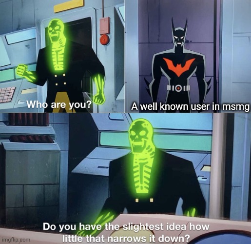 Do you have the slightest idea how little that narrows it down? | A well known user in msmg | image tagged in do you have the slightest idea how little that narrows it down | made w/ Imgflip meme maker