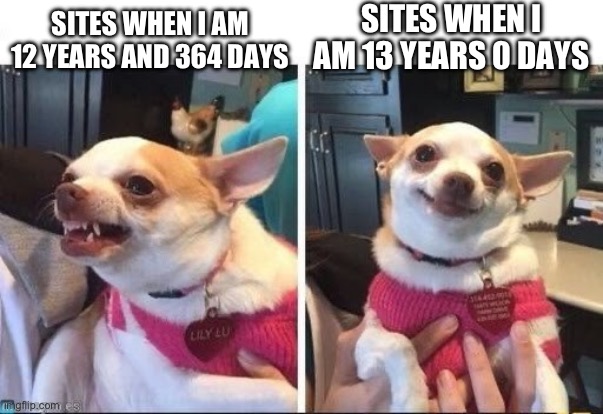 I’m not underage | SITES WHEN I AM 13 YEARS 0 DAYS; SITES WHEN I AM 12 YEARS AND 364 DAYS | image tagged in angry happy chihuahua,memes,oh wow are you actually reading these tags,you have been eternally cursed for reading the tags | made w/ Imgflip meme maker