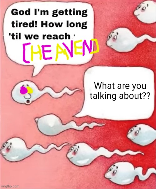 Sperm We're In | What are you talking about?? | image tagged in sperm we're in | made w/ Imgflip meme maker