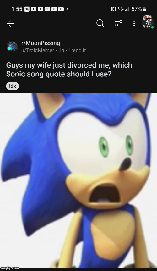 least sonic-pilled redditor | made w/ Imgflip meme maker