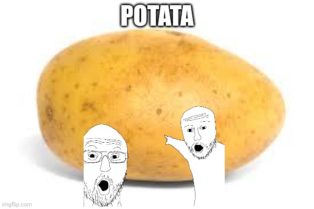 Pog | POTATA | image tagged in potato | made w/ Imgflip meme maker