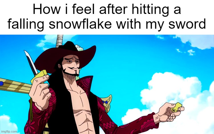 World's greatest swordsman | How i feel after hitting a falling snowflake with my sword | image tagged in mihawk,memes,one piece | made w/ Imgflip meme maker