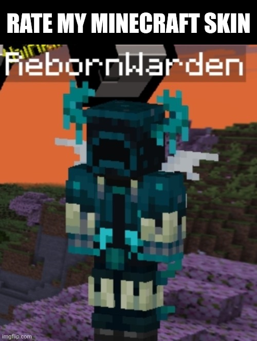 RATE MY MINECRAFT SKIN | image tagged in minecraft | made w/ Imgflip meme maker