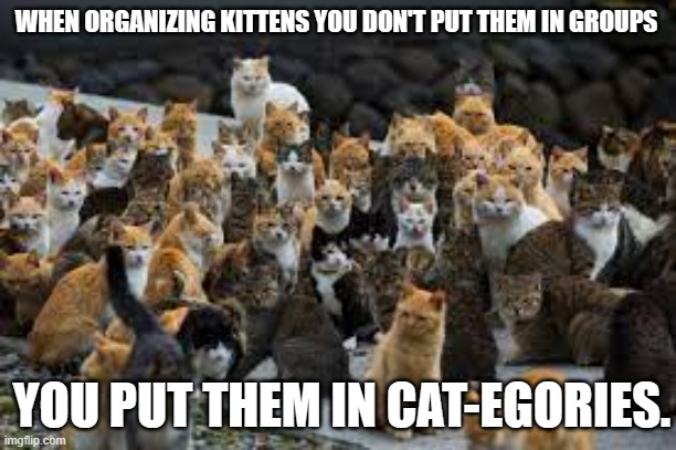meme by Brad cats put into groups | WHEN ORGANIZING KITTENS YOU DON'T PUT THEM IN GROUPS; YOU PUT THEM IN CAT-EGORIES. | image tagged in cat meme | made w/ Imgflip meme maker