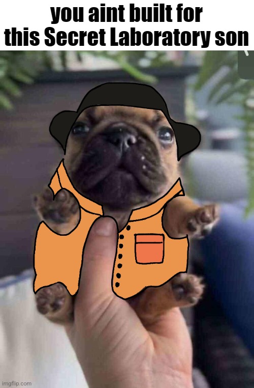 Comment your favorite TF2 class/subclass | image tagged in you aint built for this secret laboratory son | made w/ Imgflip meme maker